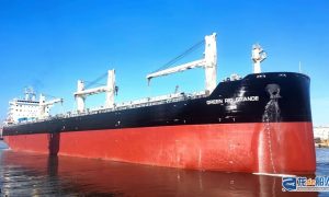 中远海运特运接入经营第二艘全球最大77000吨多用途纸浆船
